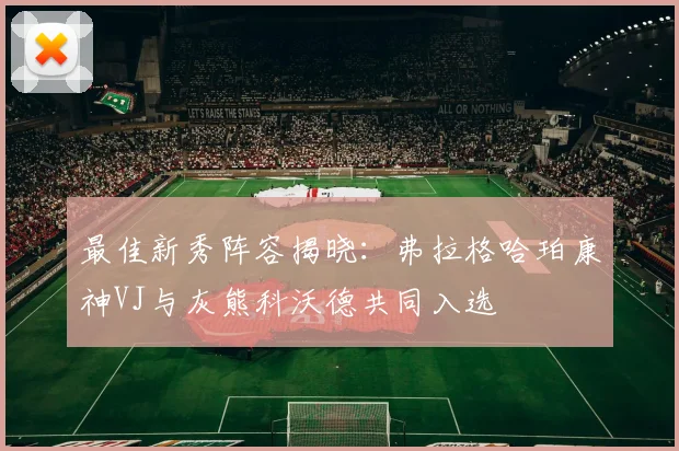 最佳新秀阵容揭晓：弗拉格哈珀康神VJ与灰熊科沃德共同入选