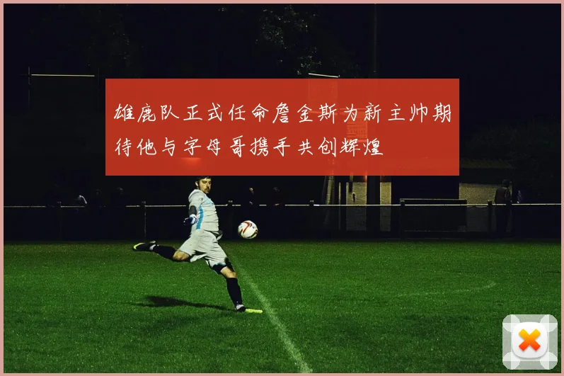 雄鹿队正式任命詹金斯为新主帅期待他与字母哥携手共创辉煌